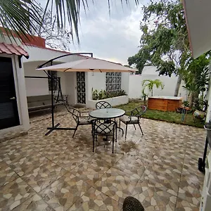 Tulipan Cancún